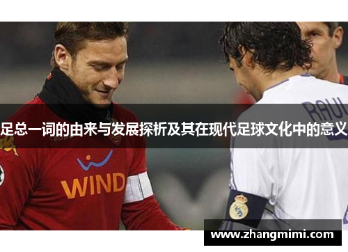 足总一词的由来与发展探析及其在现代足球文化中的意义 足总一词的由来与发展探析及其在现代足球文化中的意义