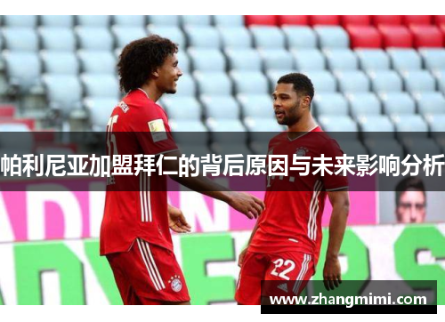 帕利尼亚加盟拜仁的背后原因与未来影响分析