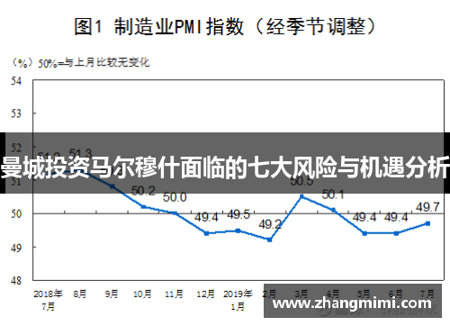 曼城投资马尔穆什面临的七大风险与机遇分析