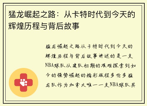 猛龙崛起之路：从卡特时代到今天的辉煌历程与背后故事
